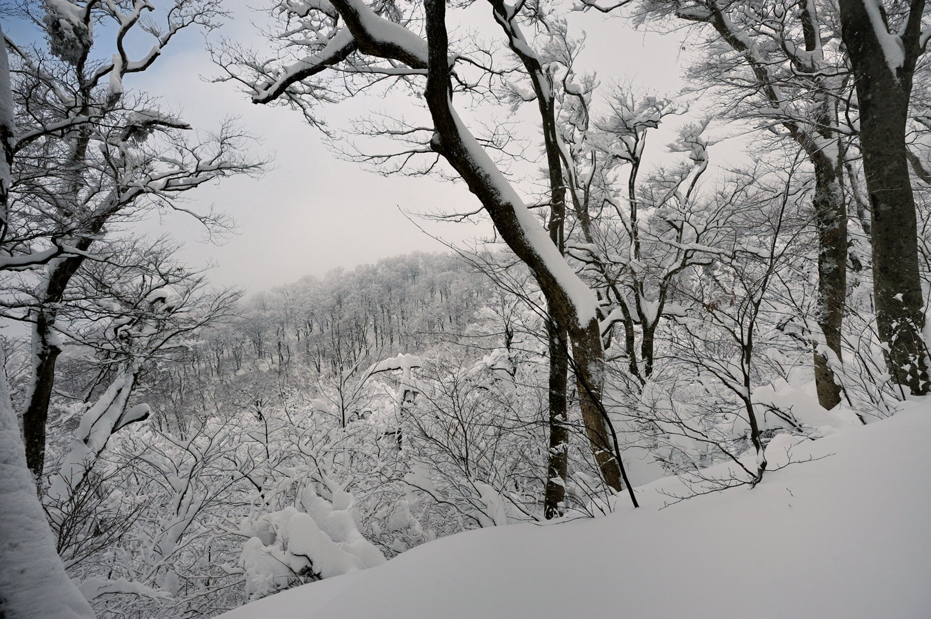 c0138991_21485731.jpg
