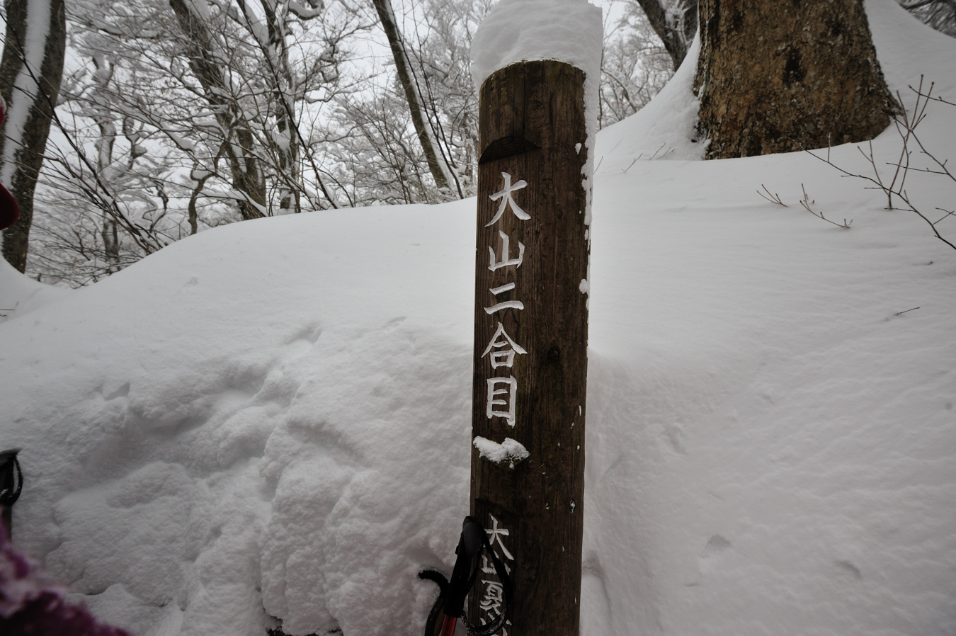 c0138991_21522197.jpg