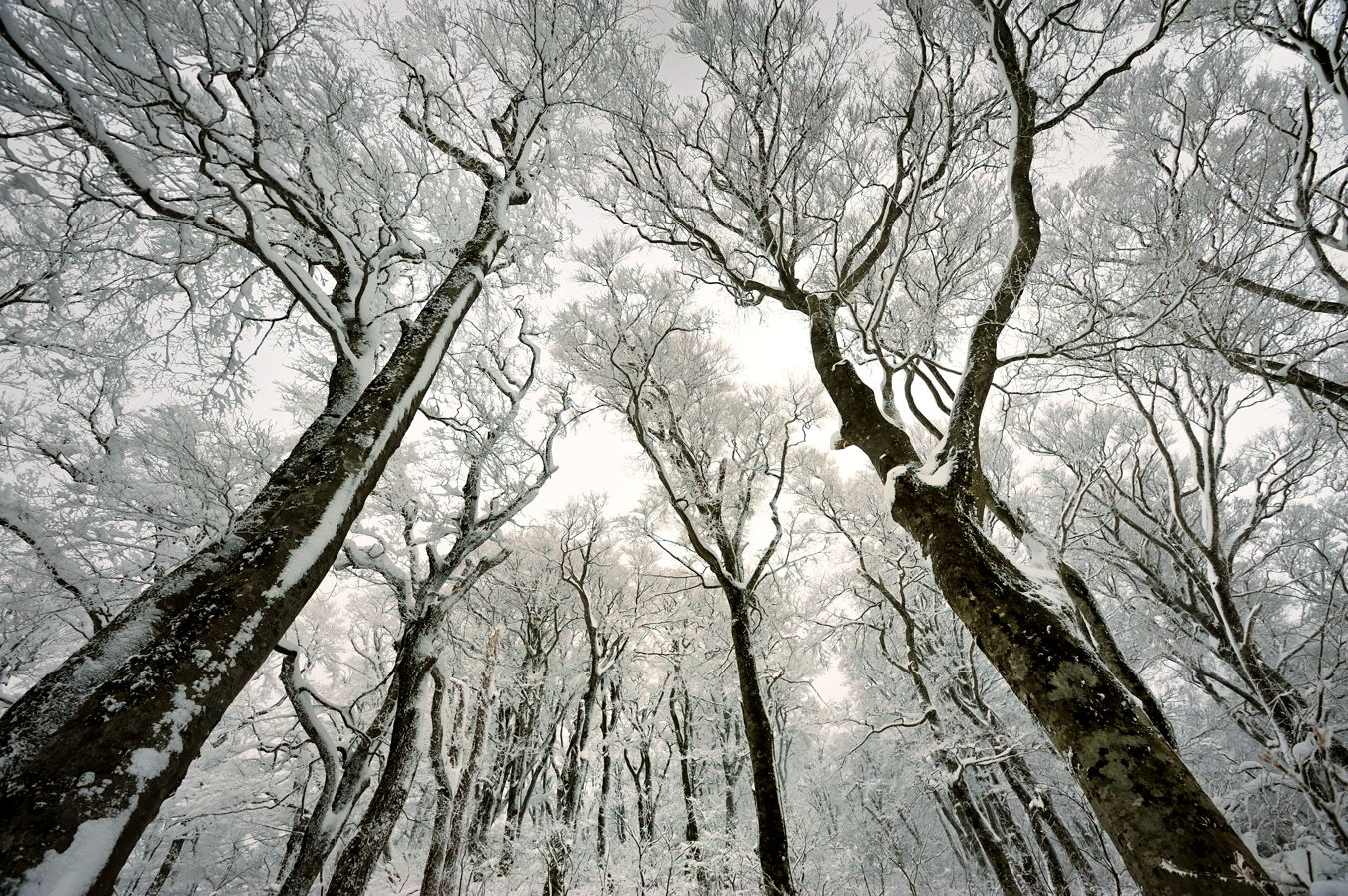 c0138991_7281539.jpg