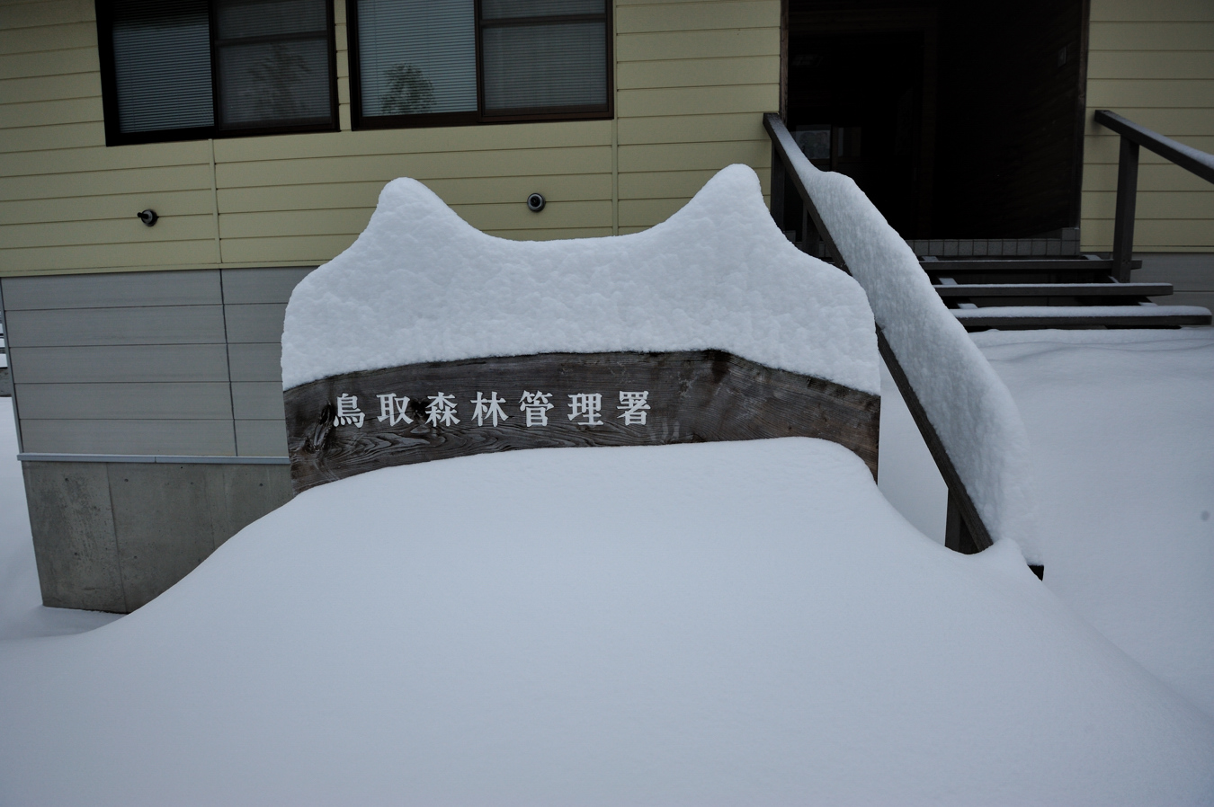 c0138991_7445651.jpg
