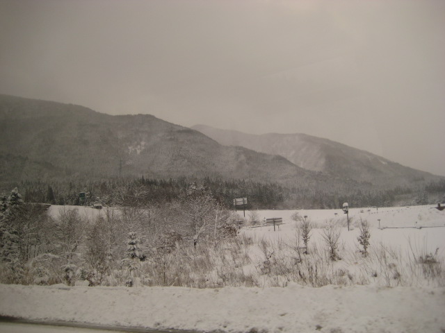 a0193698_2144984.jpg