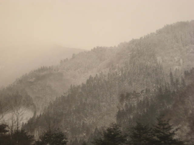 a0193698_2152329.jpg