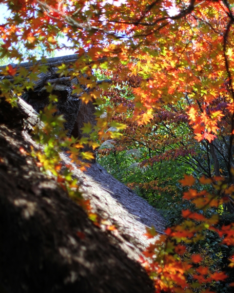 c0228404_2253279.jpg