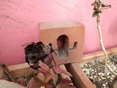 c0190010_20163523.jpg
