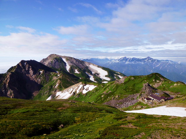 d0170615_949346.jpg