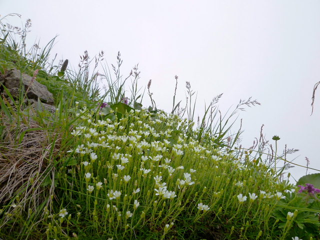d0170615_9521070.jpg