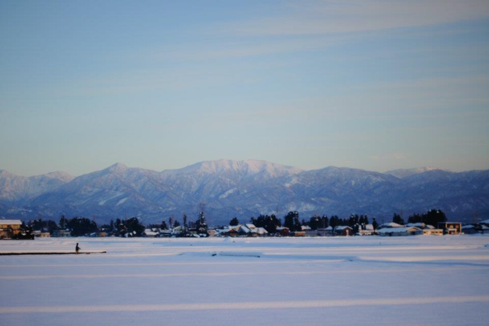 d0148019_19354059.jpg