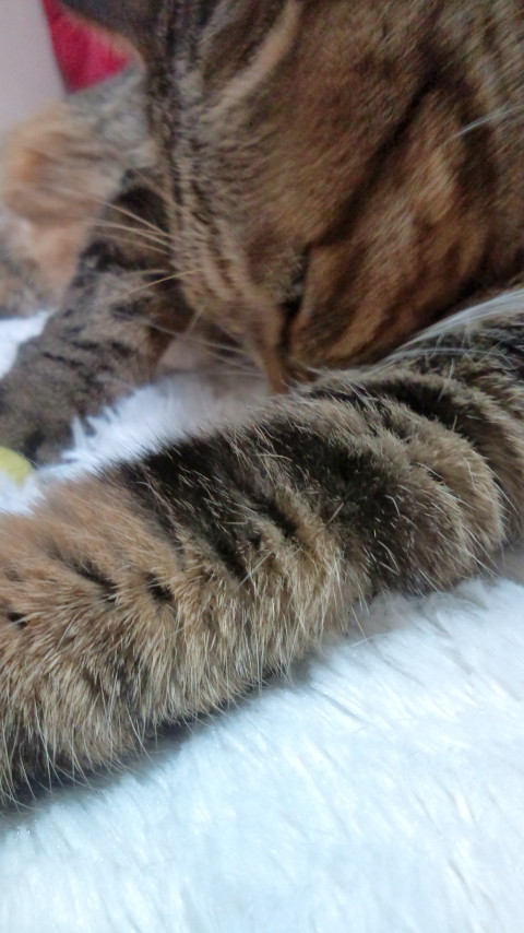 f0220919_0441763.jpg