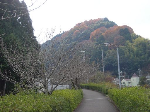 f0000521_6532576.jpg