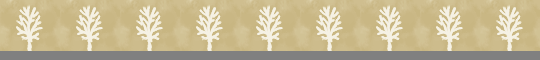 a0098027_15572175.gif
