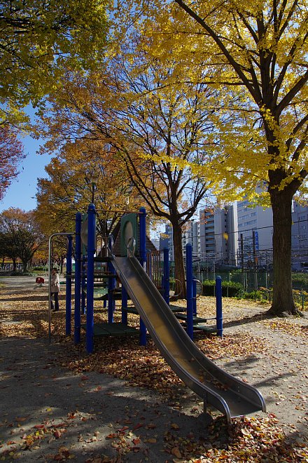 b0134829_17225981.jpg