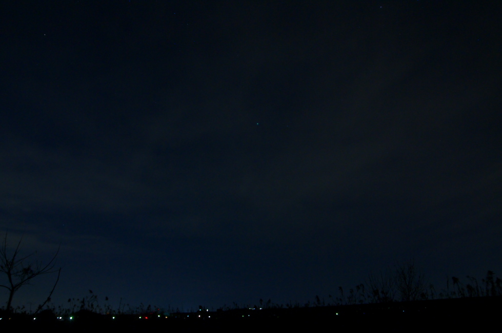 d0138737_15534414.jpg