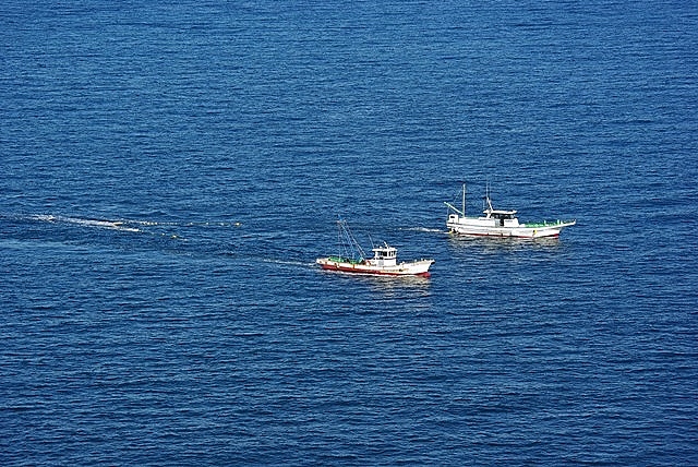 d0218238_222243.jpg