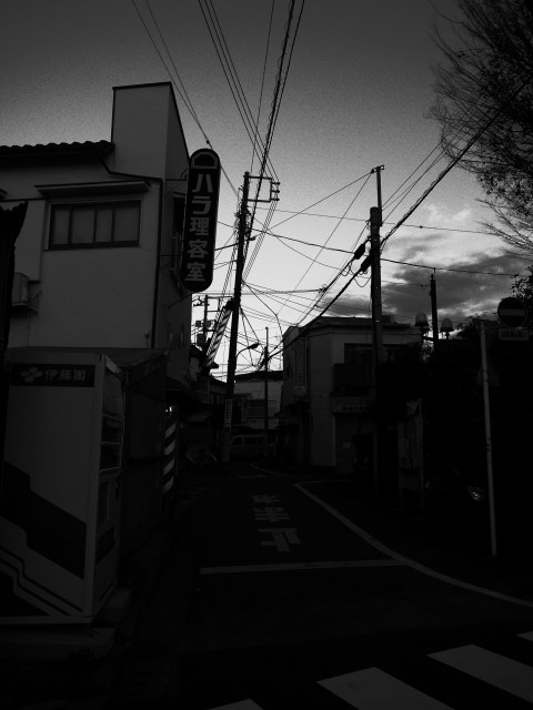 a0087341_0373490.jpg
