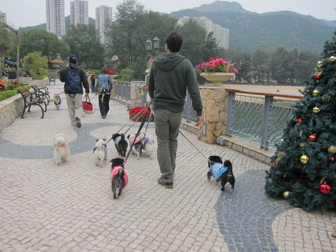 e0018143_3233333.jpg