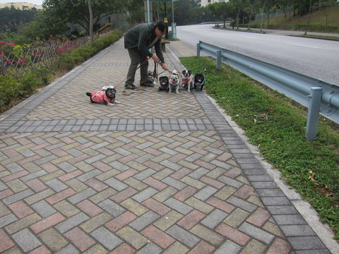 e0018143_3244055.jpg