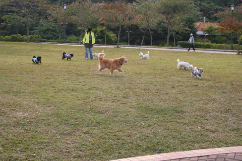 e0018143_3365852.jpg
