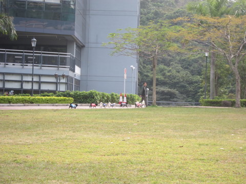 e0018143_3374375.jpg