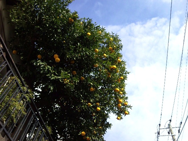 e0150843_18411620.jpg