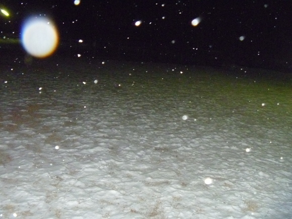 e0121548_9362672.jpg