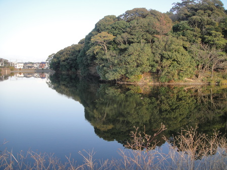 c0108460_20351359.jpg