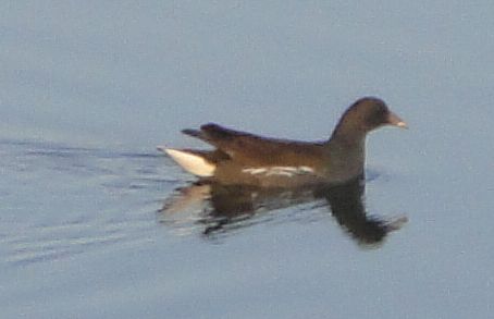 c0108460_20425816.jpg