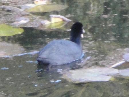 c0108460_20432430.jpg