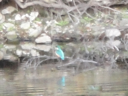 c0108460_20461193.jpg