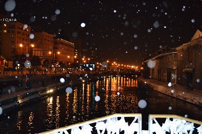 d0078060_0382214.jpg