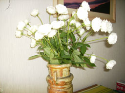 a0055866_10101169.jpg