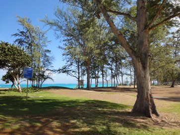c0102268_20465017.jpg