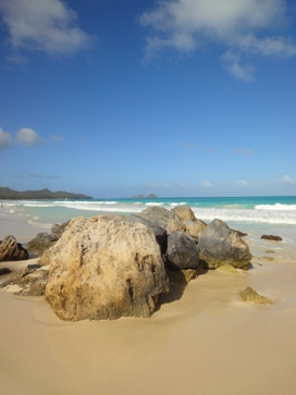 c0102268_2053163.jpg