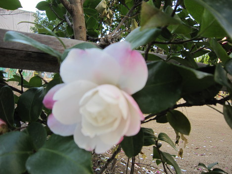 e0254678_16111115.jpg
