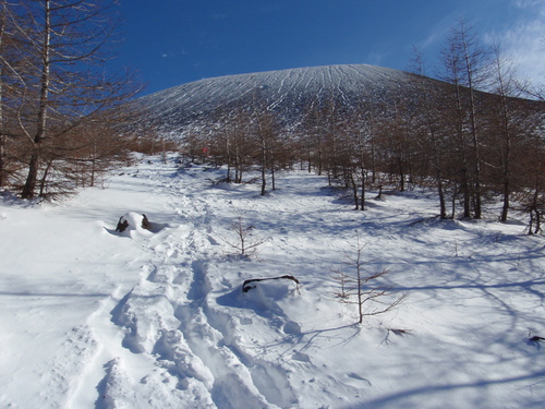 b0067179_19125267.jpg