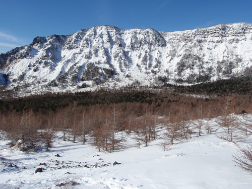 b0067179_19125671.jpg