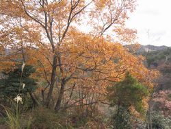 f0053885_2110363.jpg