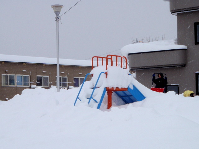 a0007388_1145167.jpg