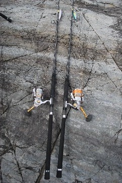 e0052088_2253085.jpg