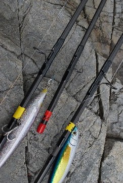 e0052088_226477.jpg