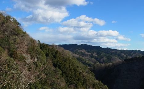 a0243590_1053381.jpg