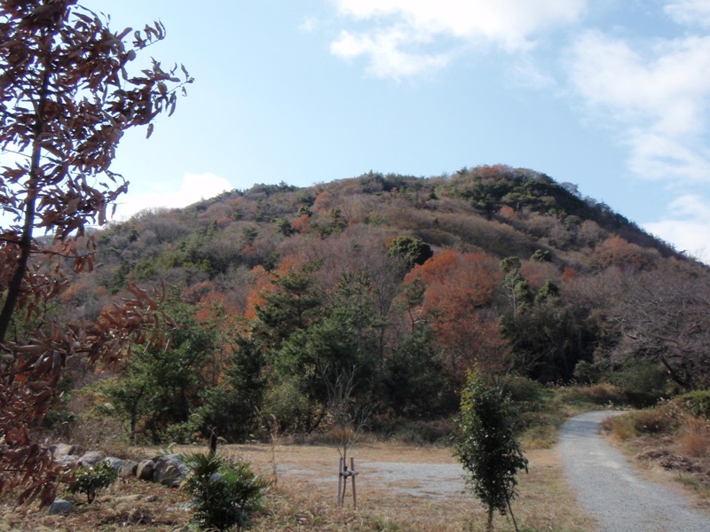 b0039898_964264.jpg