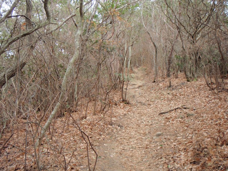 b0039898_973747.jpg