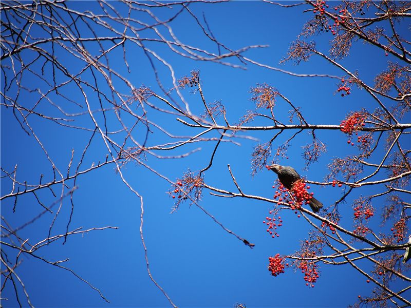 f0224100_1321256.jpg