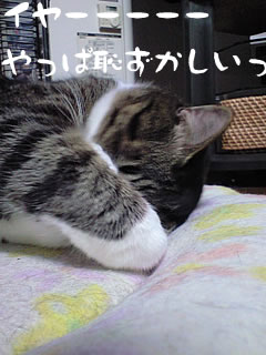 c0035001_16324513.jpg