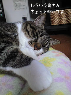 c0035001_16324711.jpg