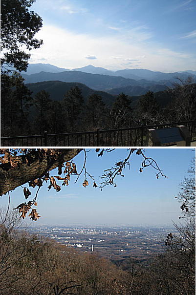 d0046702_752113.jpg