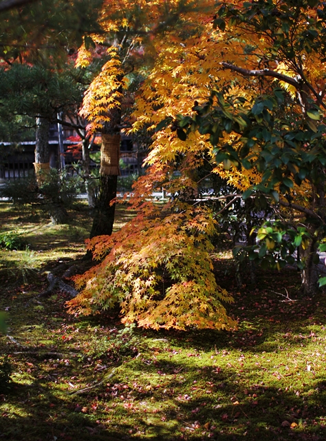 c0228404_032551.jpg