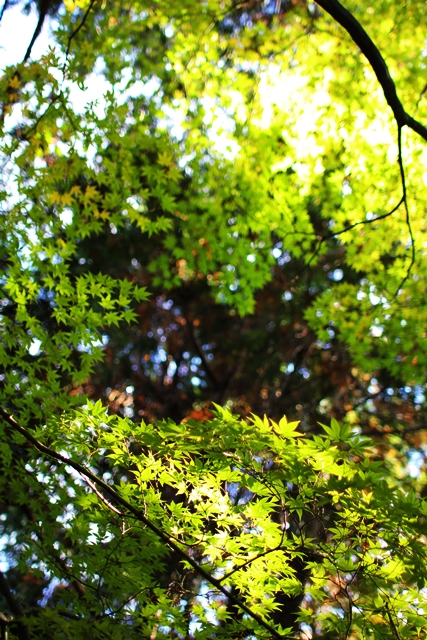 c0228404_1303798.jpg