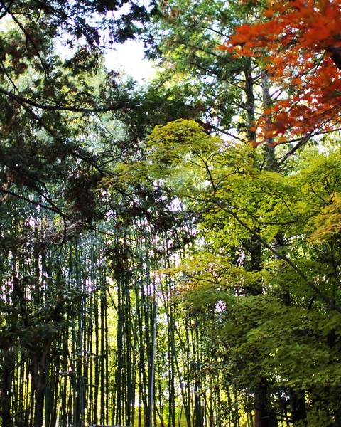 c0228404_1503865.jpg