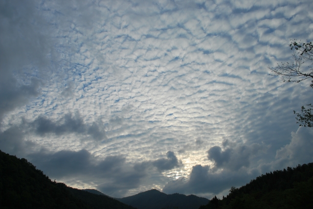 d0051707_9522349.jpg
